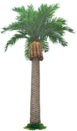 Cocopalm Trees (6001-500S)