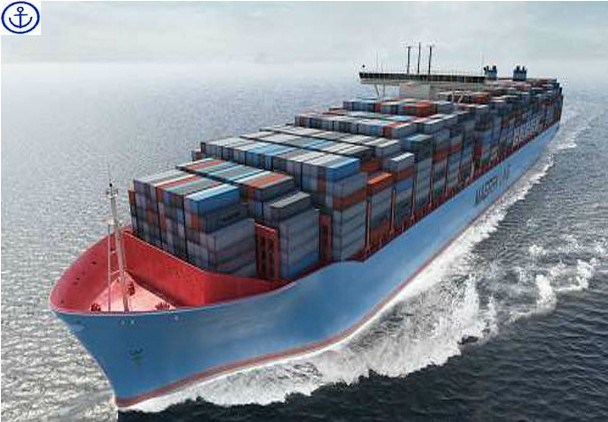 Sea Freight Sea Shipping to Vietnam Each Big Port From China Sea Shipping