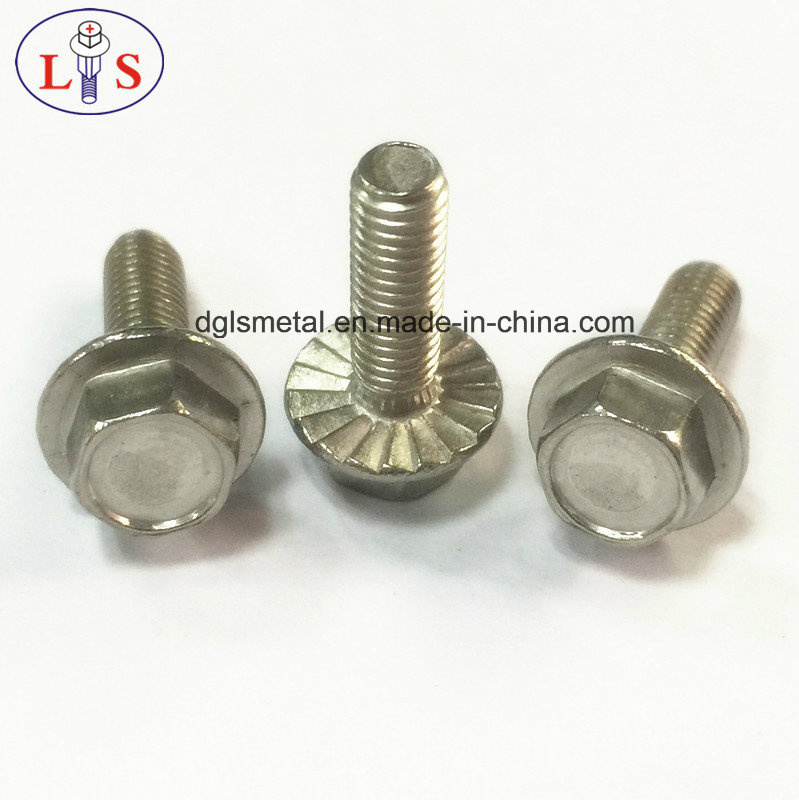 Ss 304 Hex Bolt with Flange/Hexagon Head Bolt with Collar