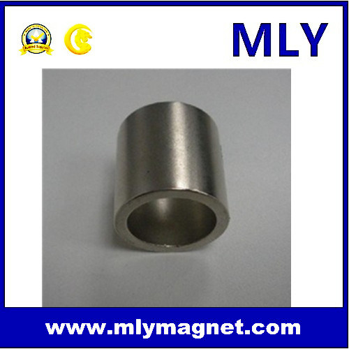 Rare Earth Permanent Irregular Neodymium Magnetic Bar (M038)