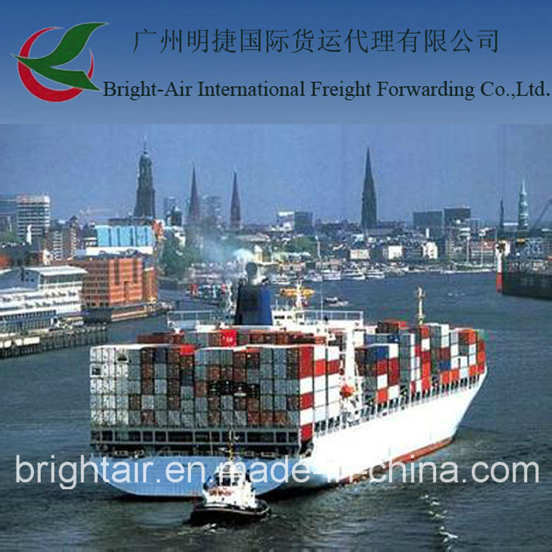 Efficient Sea Freight From China to San Martin, Peru
