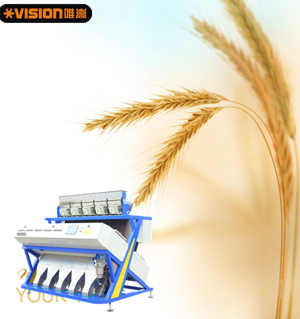 CE Certificated Better Quality Cereal Buckwheat Colorized Sorter Machinery