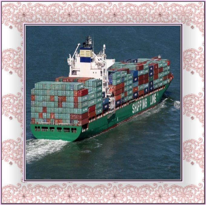 Shiping Service From Qingdao to Riyadh / Dubai / Abbas