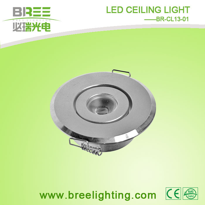 LED Ceiling Light