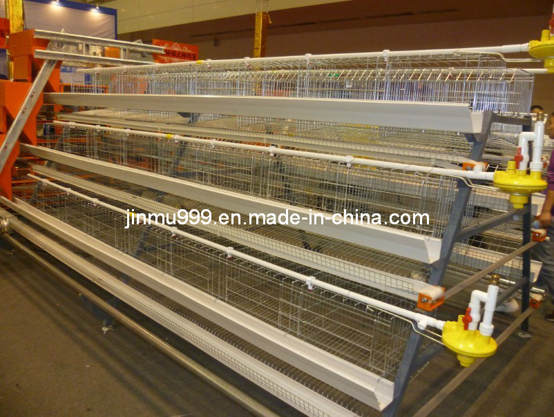 a Type Automatic Layer Chicken Cage