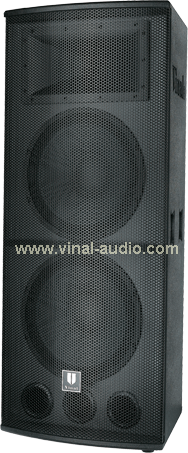 Professional Speaker (VS455)