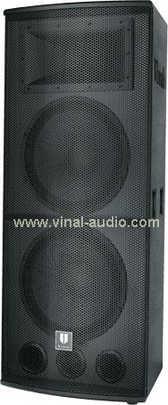 Professional Speaker (VS455)