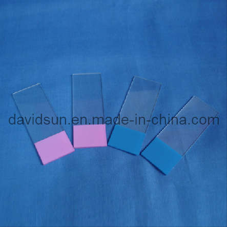 Microscope Slide