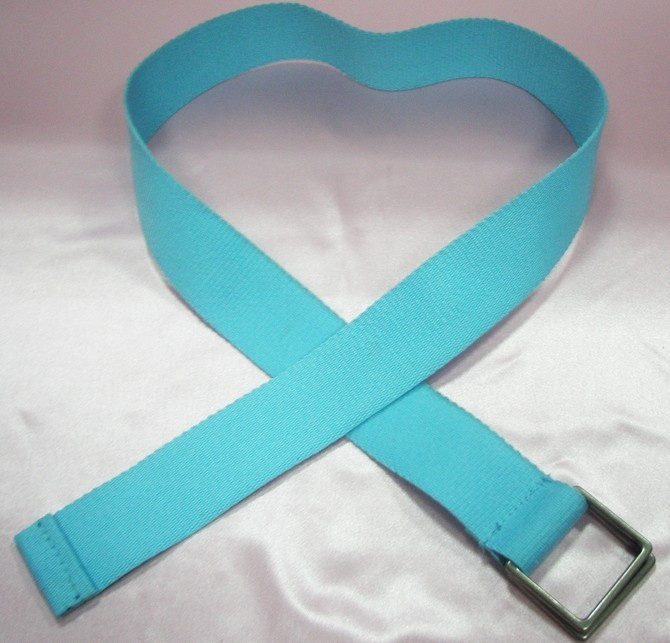 Belt SDC11305