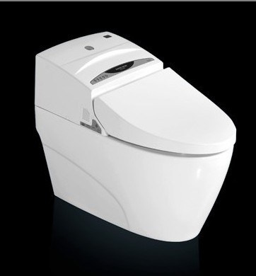 Intelligent Toilet / Automatic Closestool (ST-8101) 