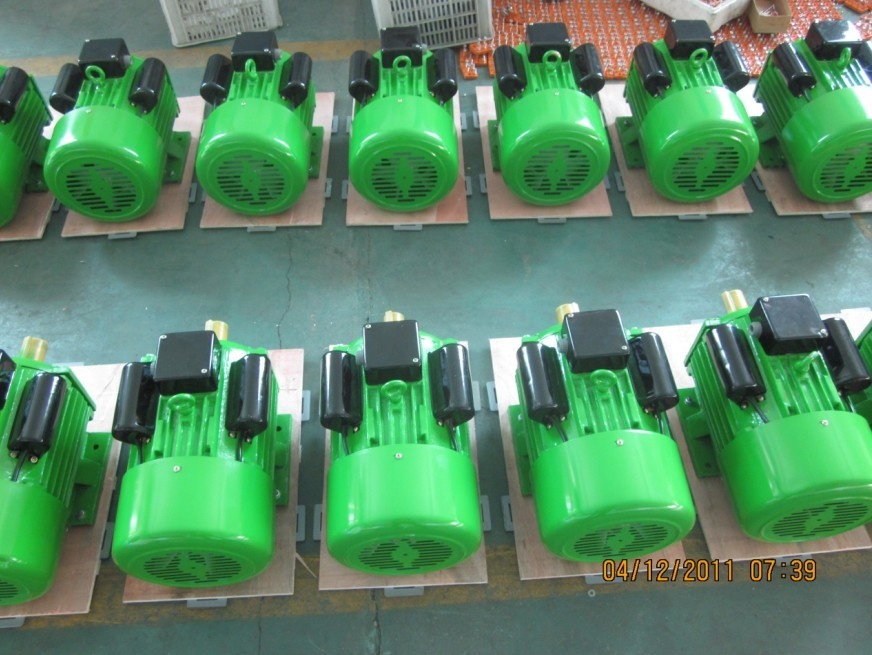 YL Motor