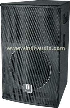 Professional Speaker (VS312)