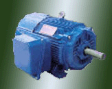 Nema High Efficiency AC Motor
