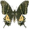 Imitation Butterfly