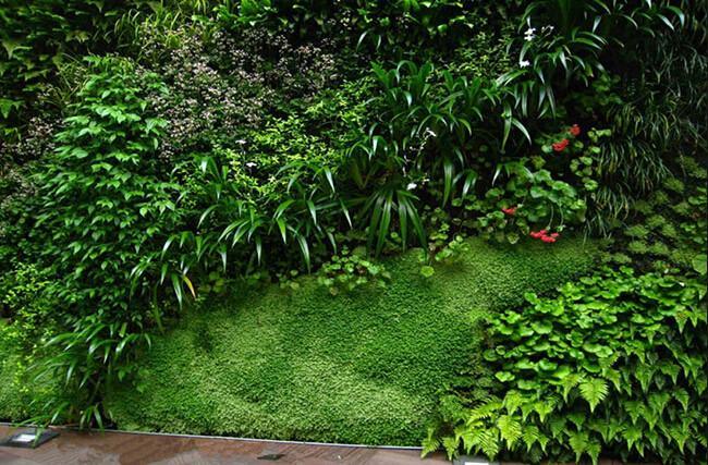 High Quality Artificial Plants and Flowers of Green Wall Gu-Wall9350611202122