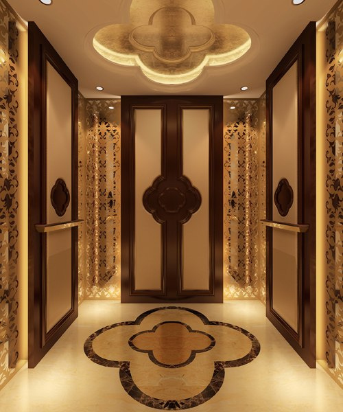 Cabin Well Designed Updated Passenger Elevator