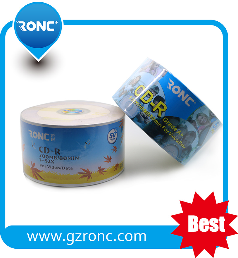 Sample Free Cheap Cost Blank DVD-R