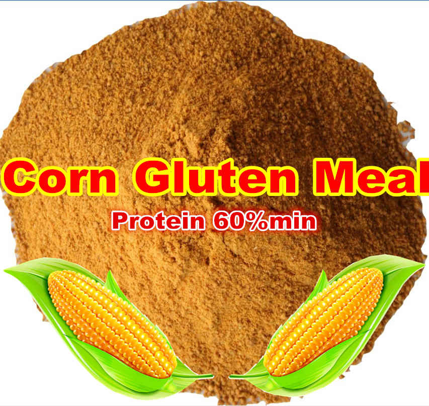 Corn Gluten Feed for Feed Additives