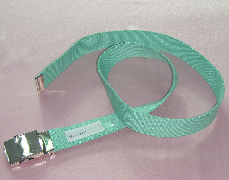 Belt SDC11242