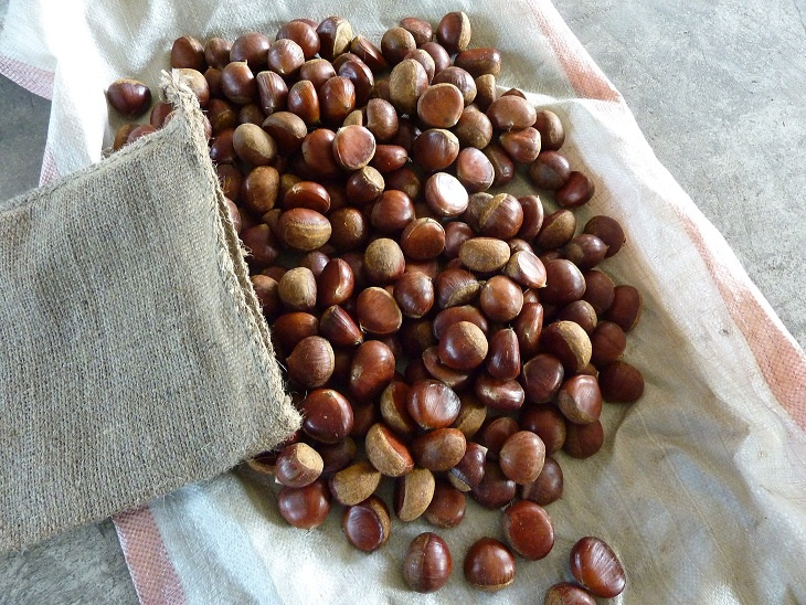 Fresh Chestnuts