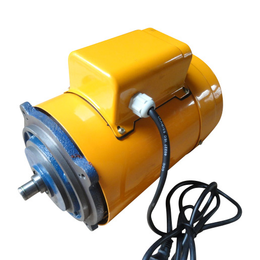 Yl Electric Motor