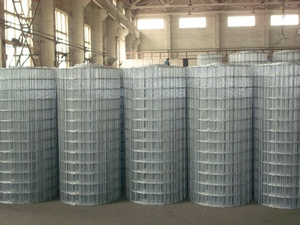 Galvanized Wire Mesh