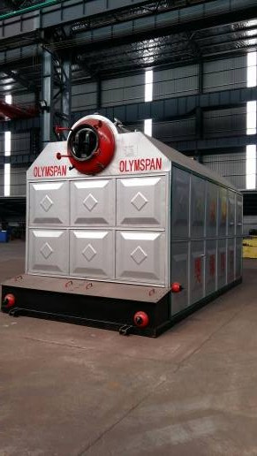 Biomass Fired Steam Boiler