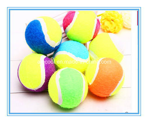 Plush Chew Toy