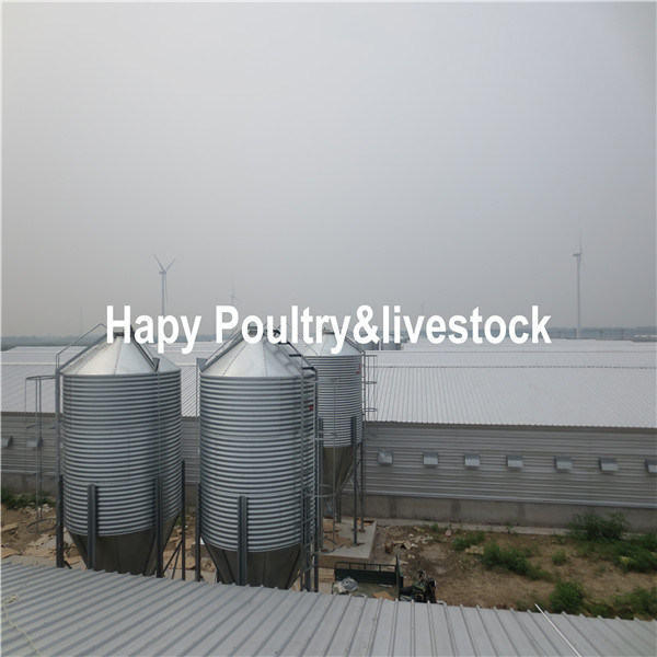 Firm Prefabricated Steel Structure Design Poultry Farm Shed