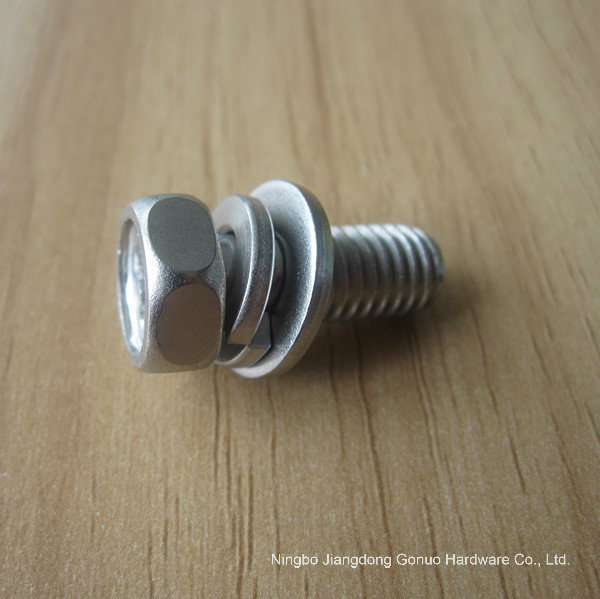 Stainless Steel Hex Bolt with Spring Washer and Nut