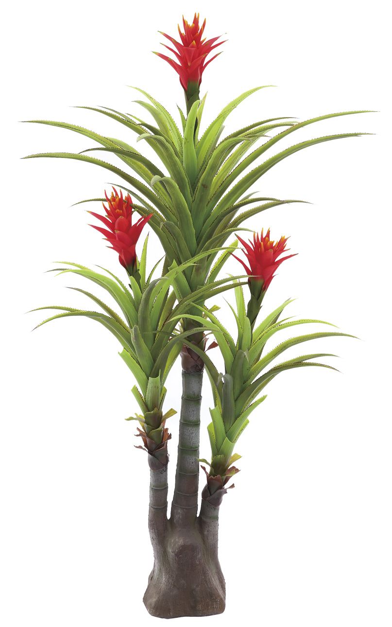 0026 Gulong Three Forks Tree ---Good Luck and Natural Tree---SGS High Standard
