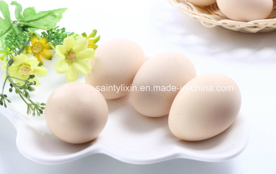 Egg Lecithin (Egg Yolk Lecithin)