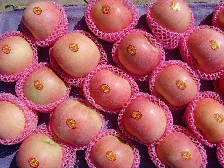 Jucie Apple