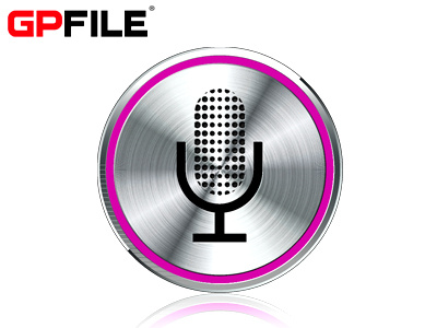 Bluetooth Speaker (GP823)