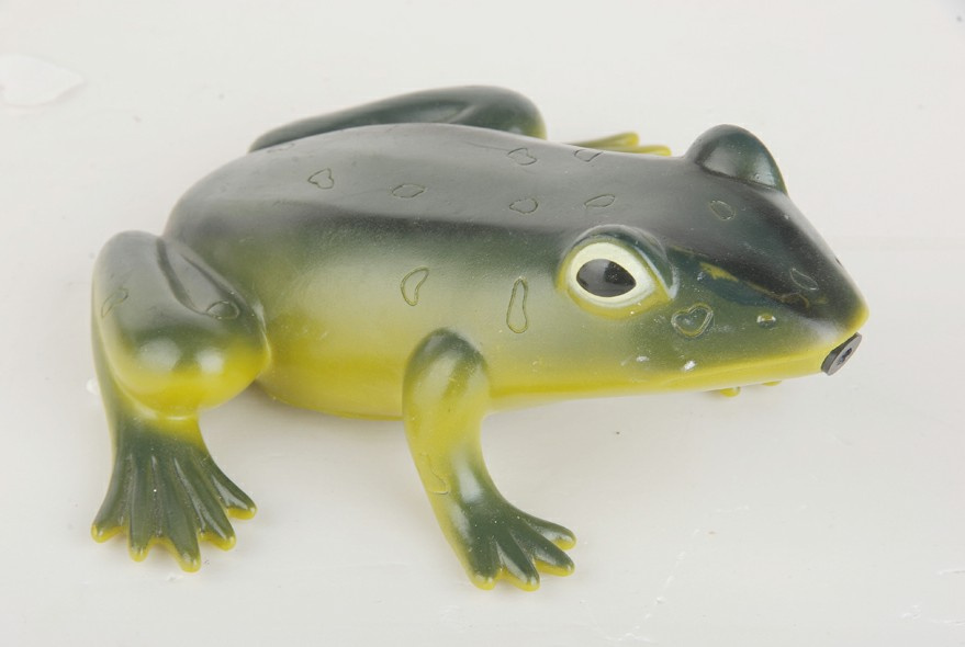 Frog Sensor Gift-139