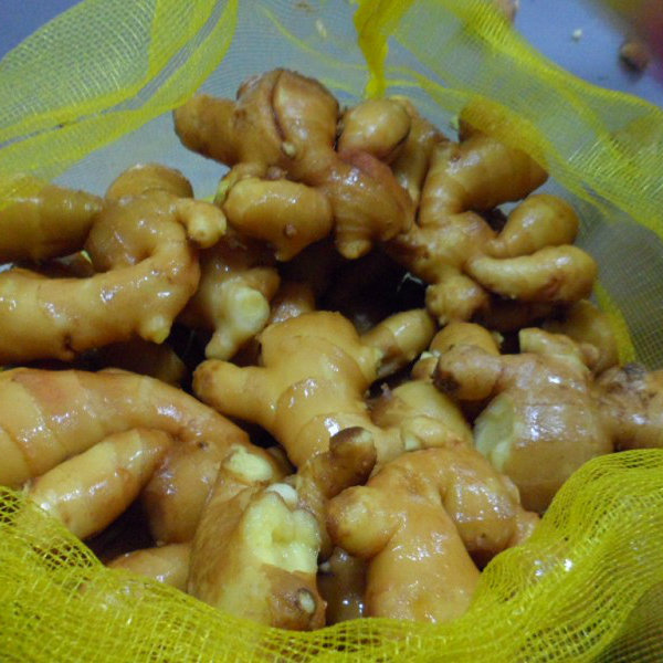 Fresh Thin Ginger in Mesh Bag