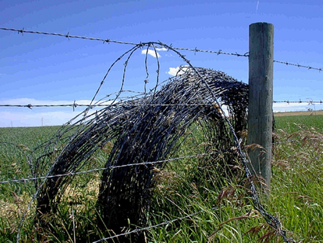 Barbed Wire
