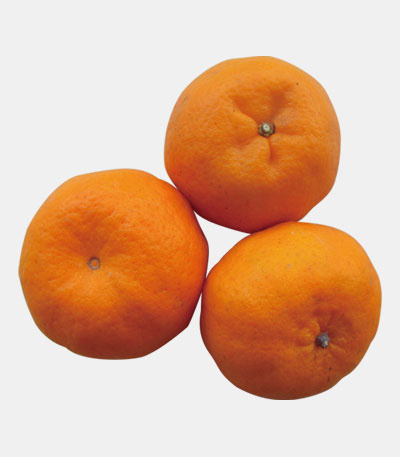 Mandarin Orange