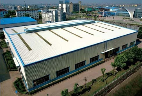 Advantage Steel Structure Building with Professinal Design
