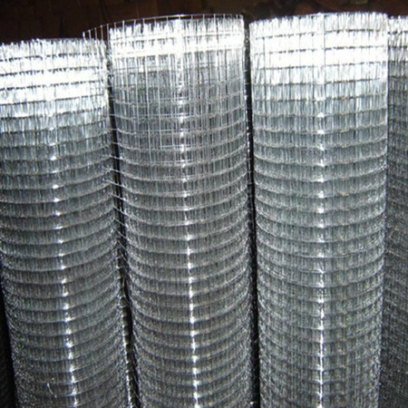 Welded Wire Mesh