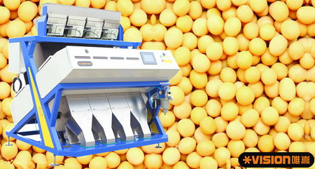 Hot Selling Pulse and Beans Automatic Sorter Grader Machinery Low Price