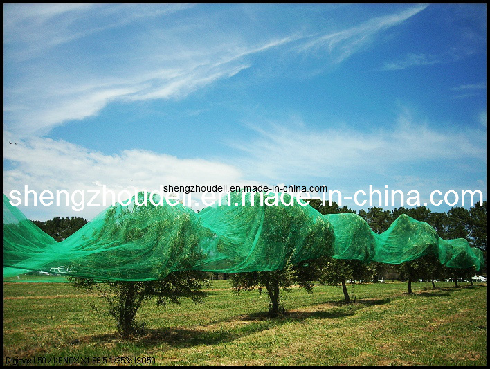 Shade Net