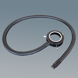 Ring Optical Fiber