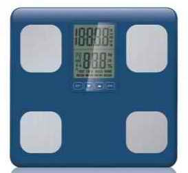 Body Fat Scale