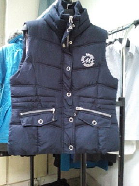 Vest