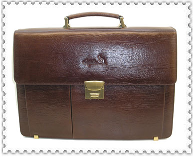 Briefcase 1