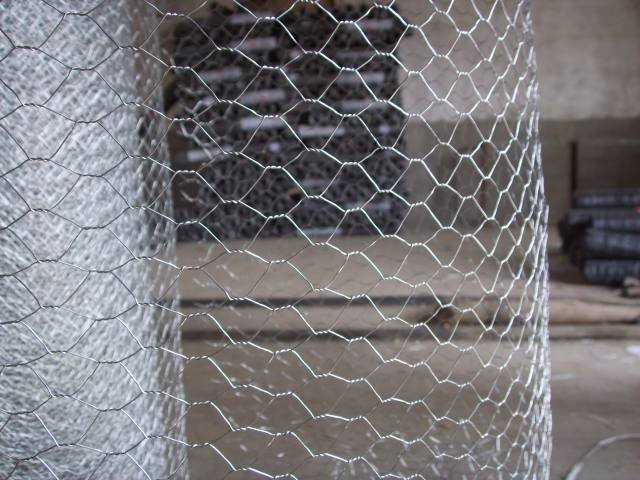 Galvanized/PVC Power Hexagonal Wire Mesh (HW20150507)