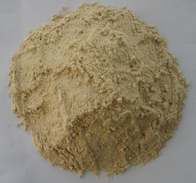 Wheat Gluten Animal Fodder Additive (SXR2011)