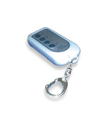 Crane Scale Remote Controls (optional)
