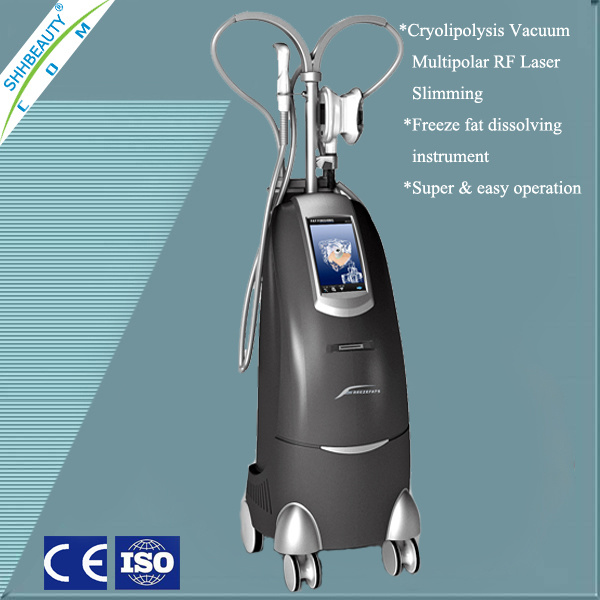 Vacuum RF Laser Cryo Freeze Fat Dissolving Equipment (CRV6)